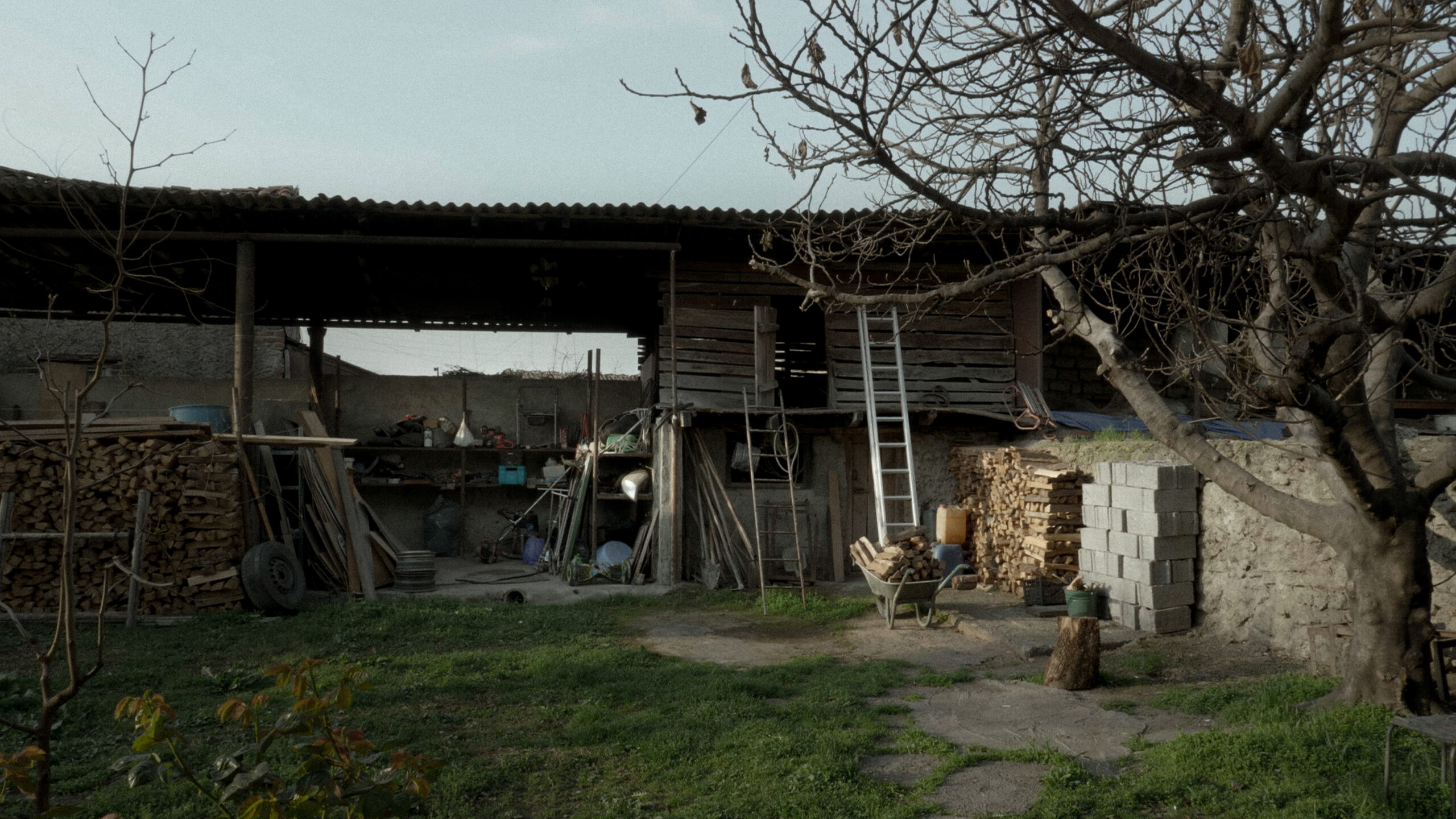 Made in Europe Kurzfilm Benjamin Weu