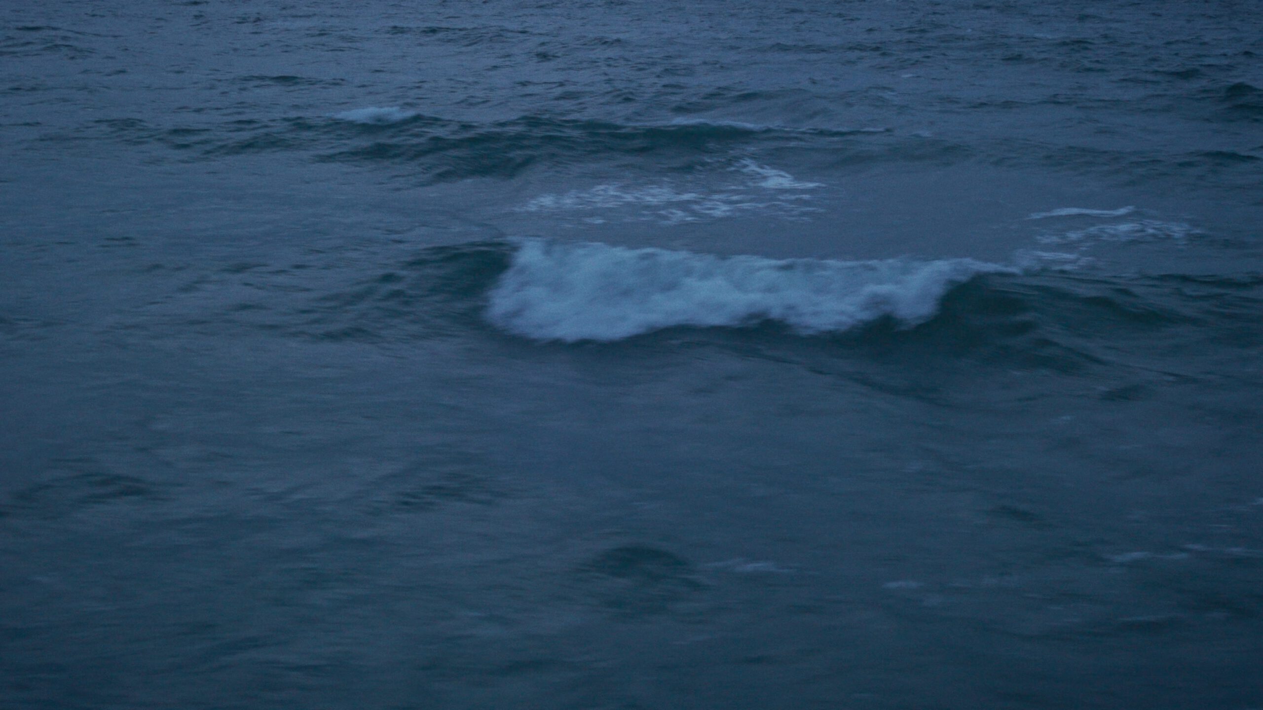 Dänemark Naturdoku Naturfilm Ostsee Meer Drohne Mavic Dansk Benjamin Weu