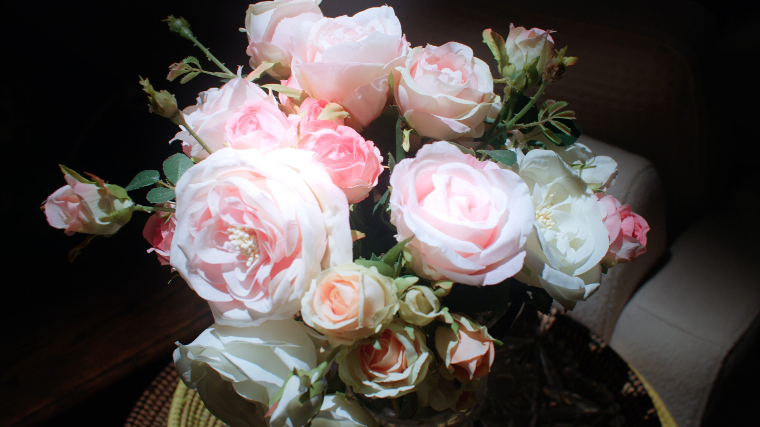 Proxys Katrin Esser Eßer Leipzig Köln Kurzfilm Dokumentation Demenz Alzheimer Benjamin Weu Tommy Scheer